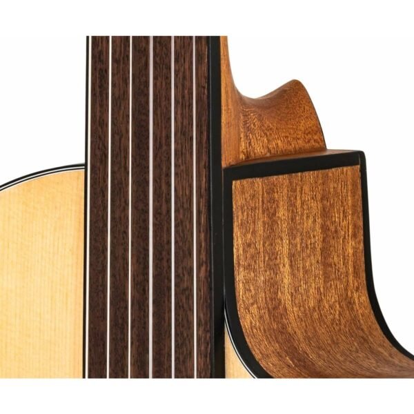 Valler VG250CPDS Perdesiz Klasik Gitar ( Pena ve Taşıma Kılıfı ) - Görsel 4
