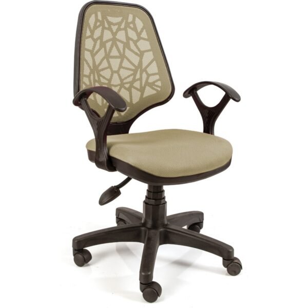 Alphina Rosella Ergonomik Ofis / Büro ve Öğrenci Çalışma Sandalyesi - Koltuğu - Görsel 1