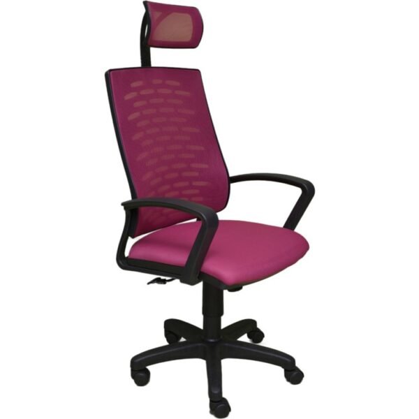 Alphina Sandora Ergonomik Ofis / Büro ve Öğrenci Çalışma Sandalyesi - Koltuğu - Görsel 1